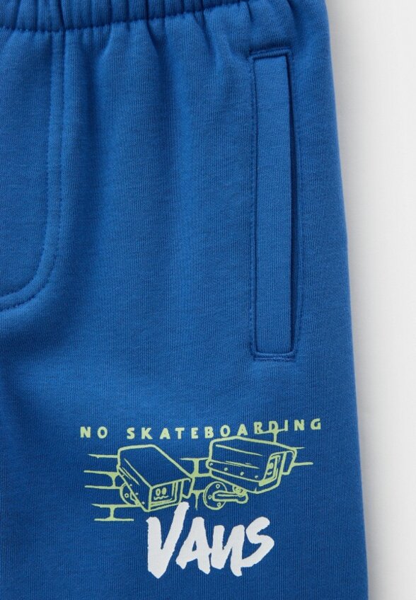 Брюки спортивные Vans