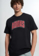 Футболка мужская Adidas Stad Colleg, Черный1  - превью