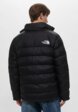 Куртка утепленная The North Face3  - превью