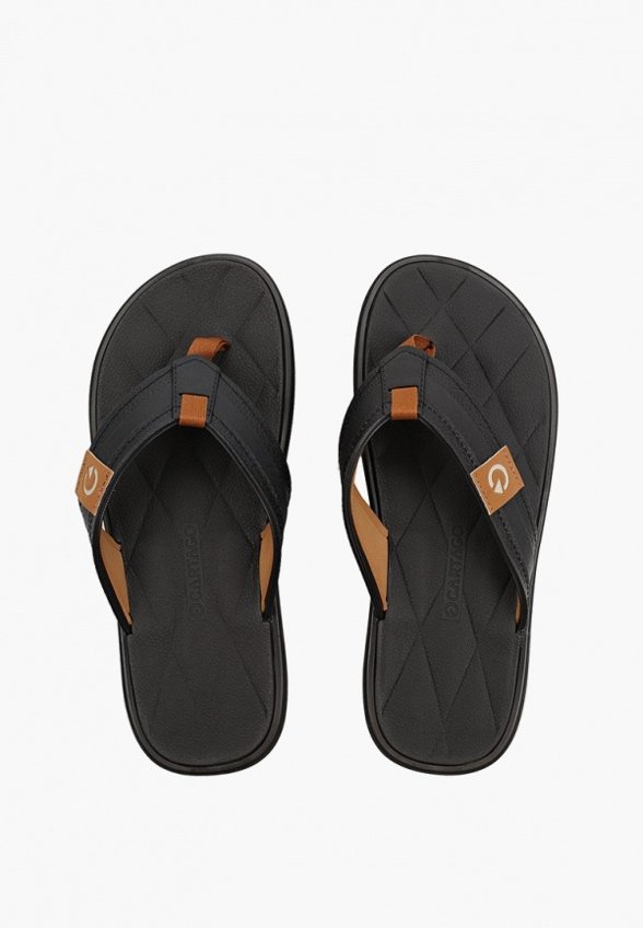 Сланцы Cartago