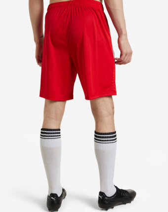 Шорты мужские PUMA teamLIGA, Красный женщинам