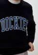 Свитшот Dickies4  - превью