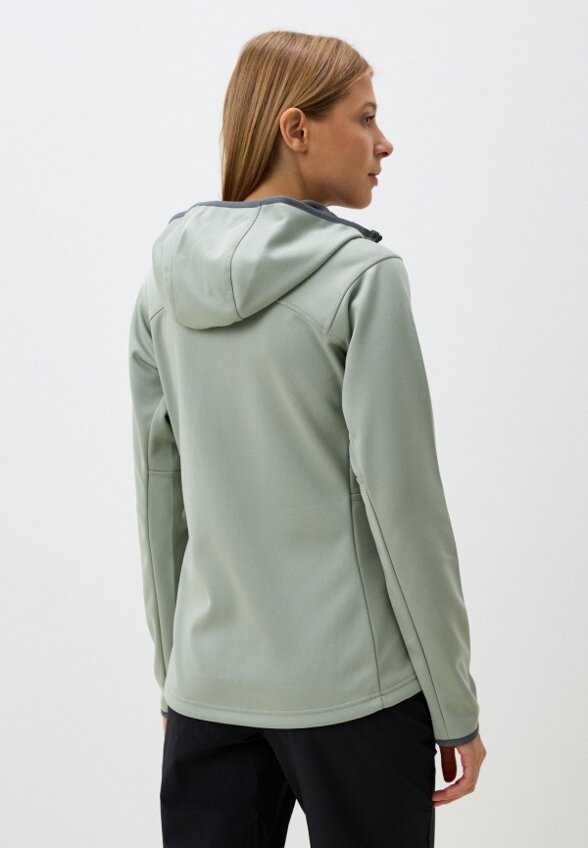 Олимпийка Northland