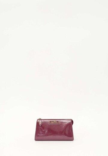 Louis Vuitton Case