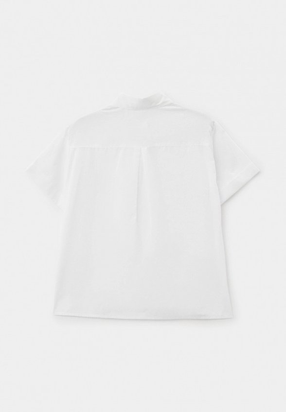 Рубашка Pelican