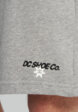 Шорты мужские DC Shoes Vantura, Серый7  - превью