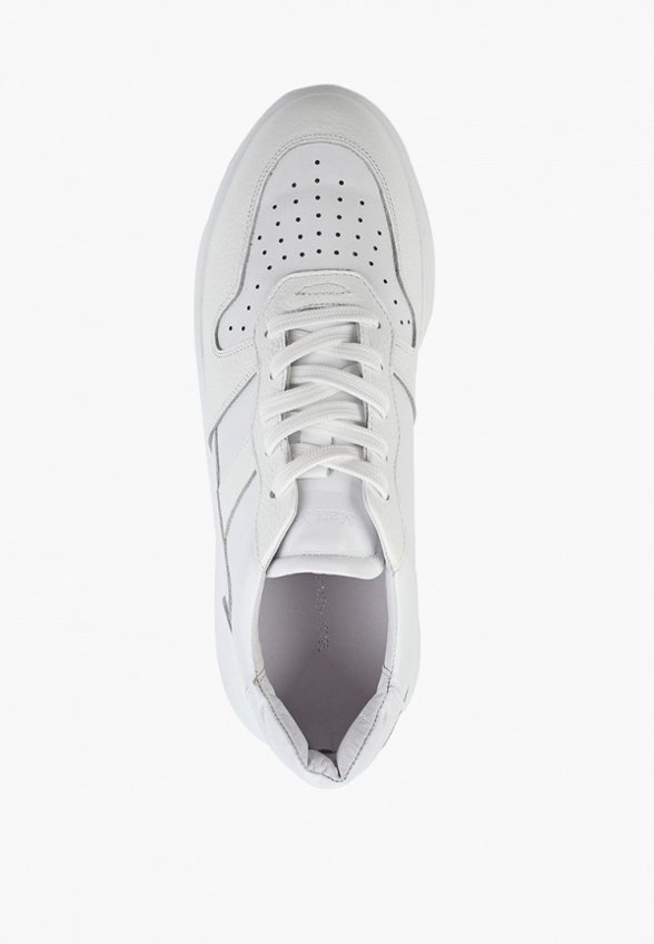 Кеды Matt Nawill