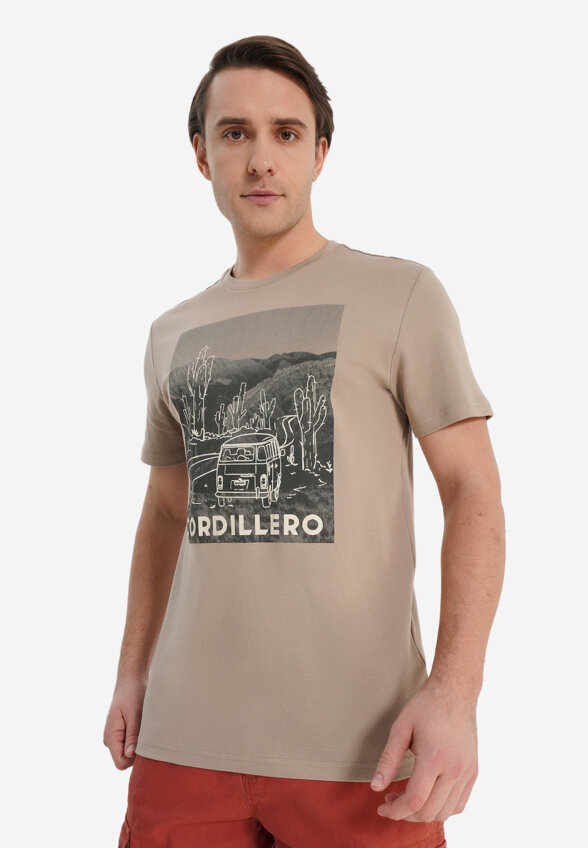 Футболка мужская оверсайз Cordillero, Коричневый