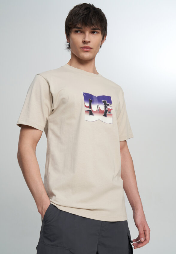 Футболка мужская DC Shoes Metallic Star, Бежевый