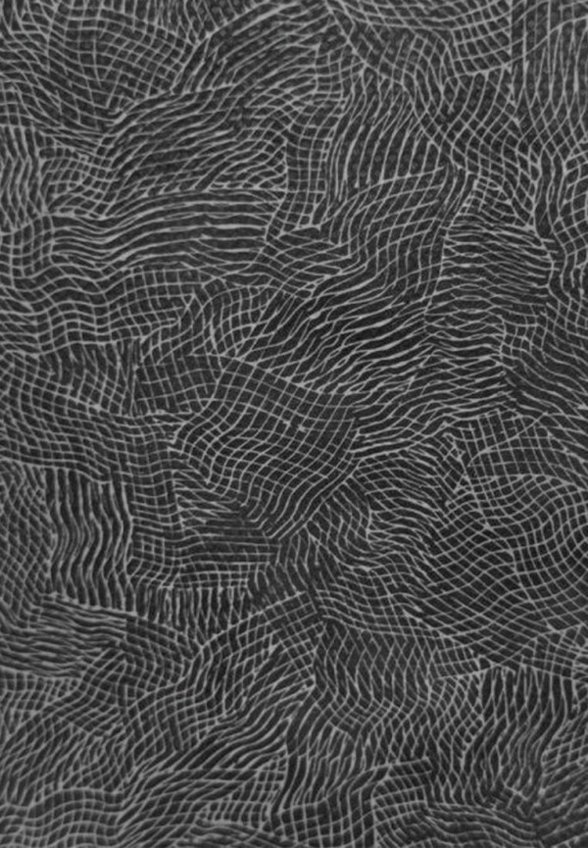 Органайзер для хранения Valiant