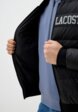 Куртка утепленная Lacoste4  - превью