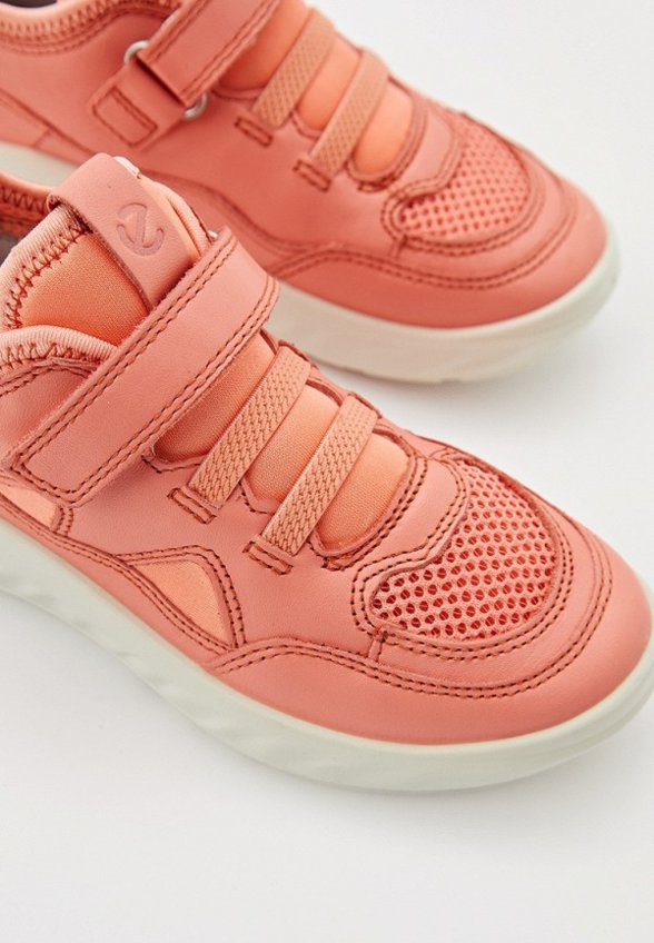 Кроссовки Ecco