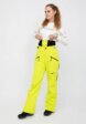 Брюки сноубордические Qluck5  - превью