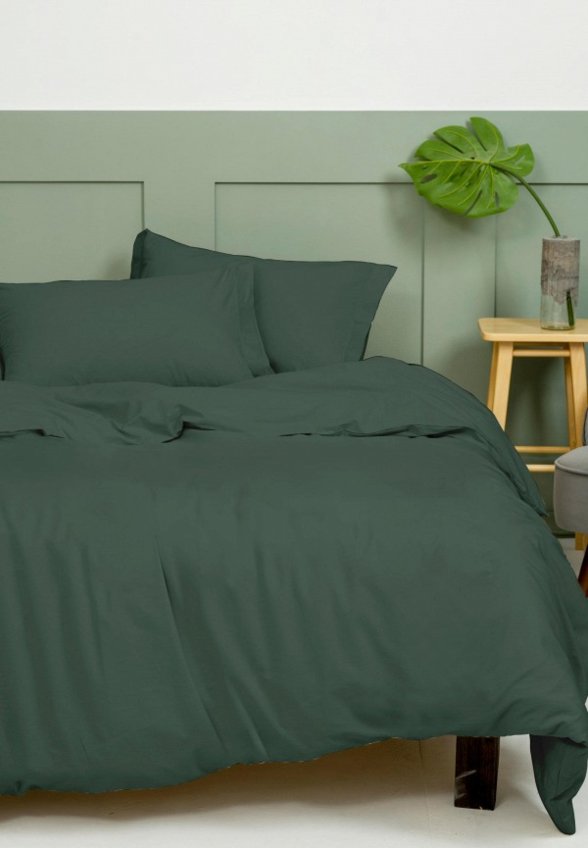 Постельное белье 2-спальное Василиса