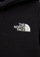 Худи The North Face3  - превью