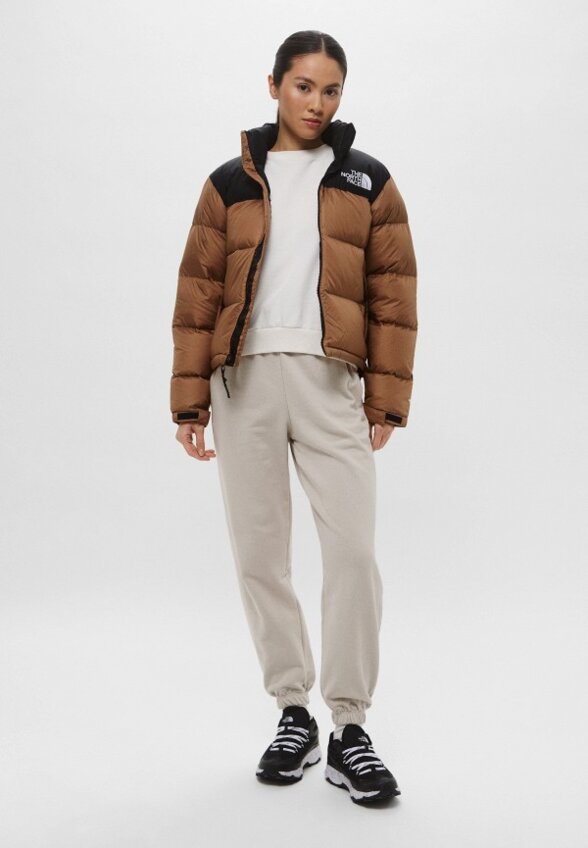 Пуховик The North Face