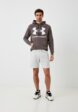 Худи Under Armour2  - превью