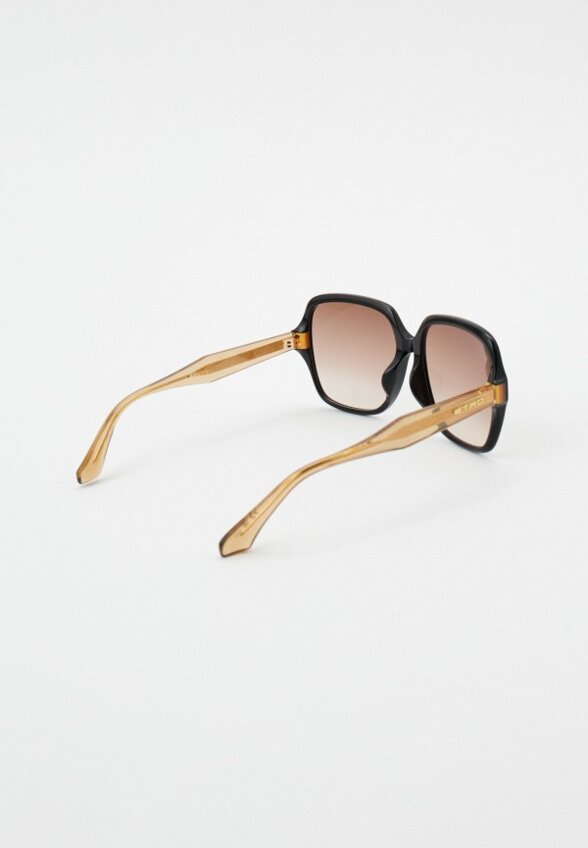 Очки солнцезащитные Etro