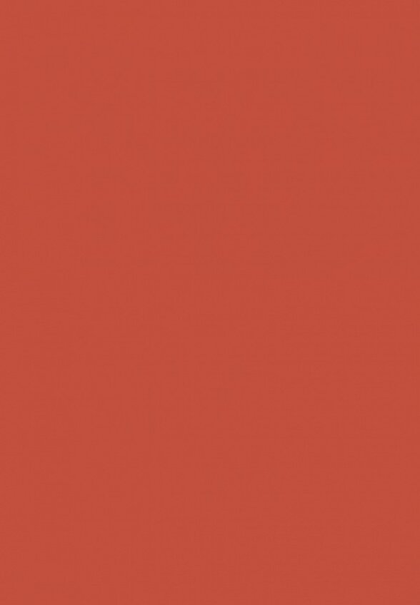 Помада L'Oreal Paris