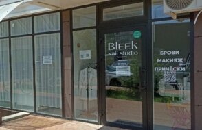 Bleek