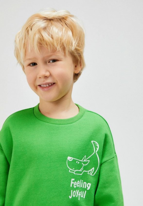 Свитшот Acoola