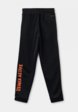 Брюки спортивные Demix2  - превью