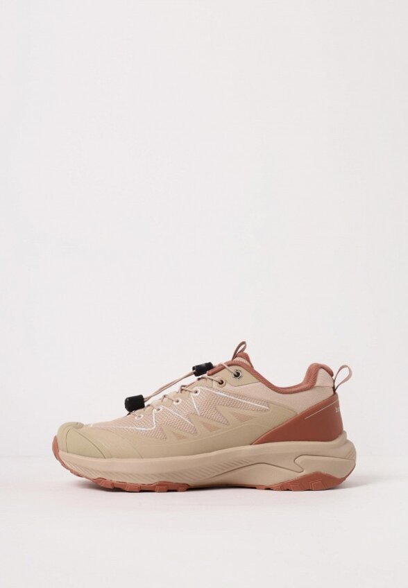 Кроссовки трекинговые Baasploa