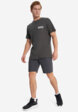 Футболка мужская Quiksilver Palm Square, Серый4  - превью