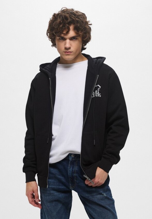 Толстовка Iceberg