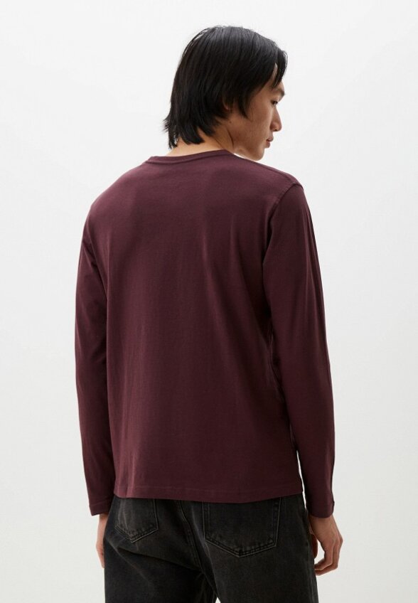 Лонгслив Van Hipster