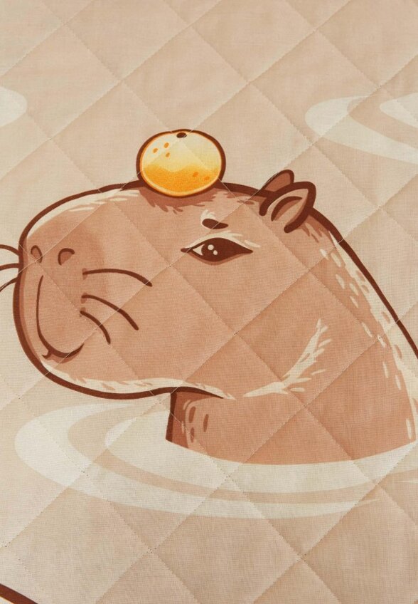 Покрывало Crazy Getup