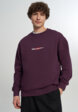 Свитшот мужской оверсайз Quiksilver Mercury Trident Crew, Красный1  - превью