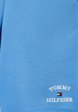 Шорты спортивные Tommy Hilfiger3  - превью