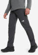 Брюки мужские The North Face Diablo Reg, Серый1  - превью