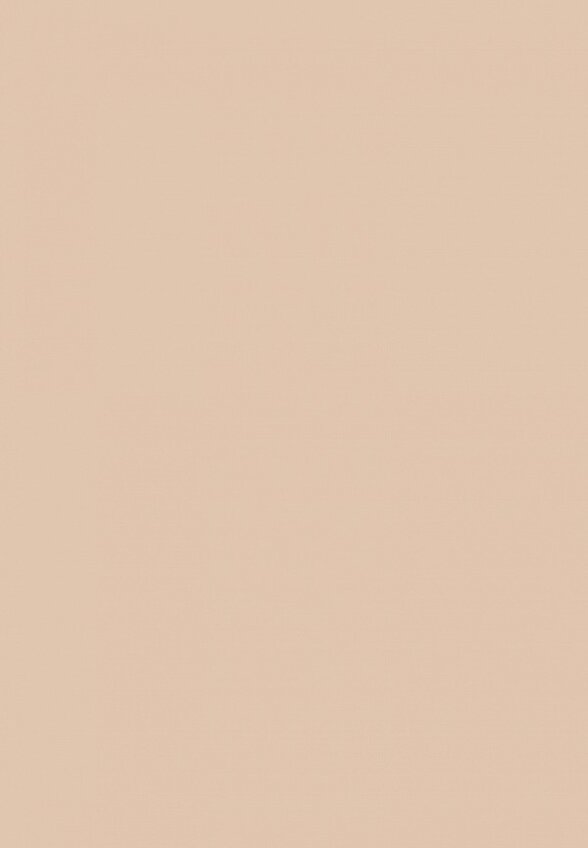 Тональное средство Shik