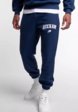 Брюки спортивные Boxraw1  - превью