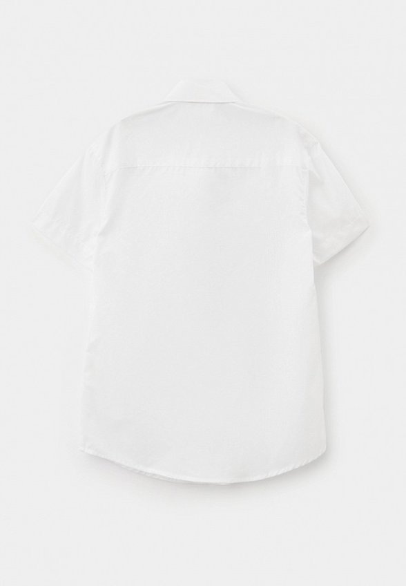 Рубашка Pelican