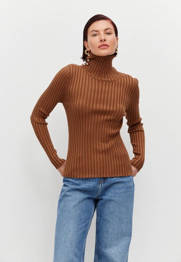 Водолазка Perles