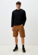 Шорты джинсовые Dickies2  - превью