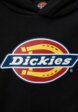 Худи Dickies3  - превью