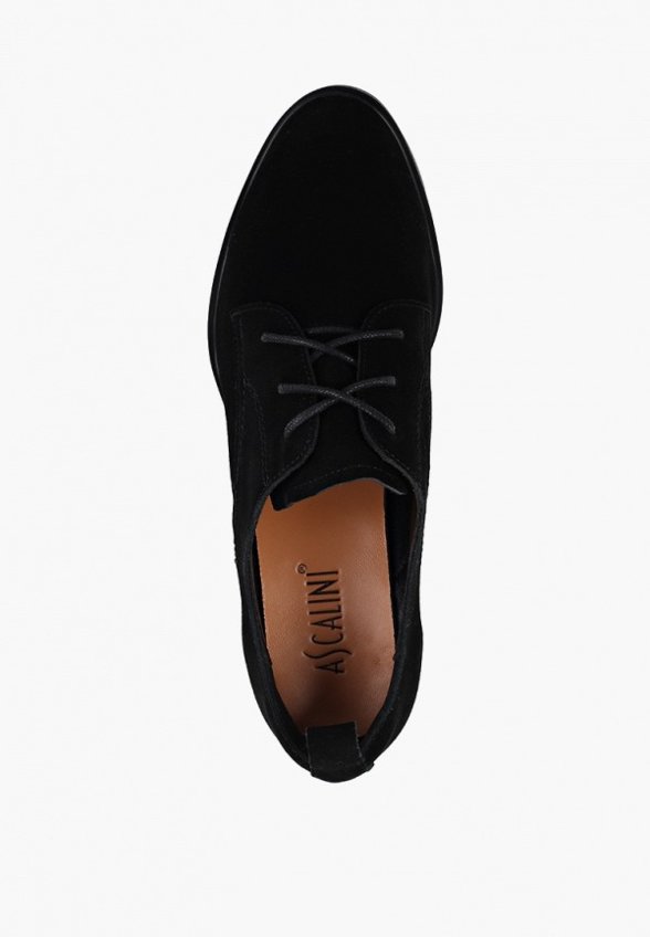 Ботильоны Ascalini