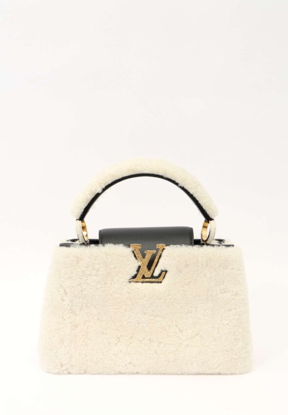Louis Vuitton Capucines
