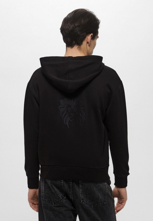 Толстовка Ice Play