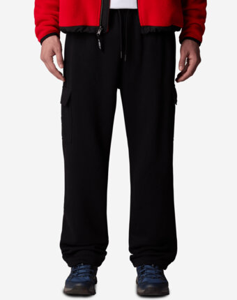 Брюки мужские The North Face Cargo Jogger, Черный женщинам