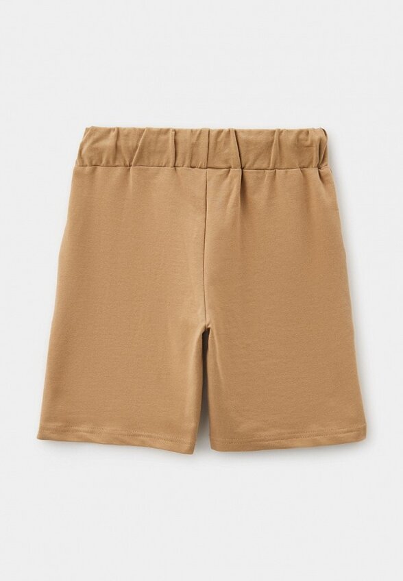 Шорты спортивные Aspen Polo Club