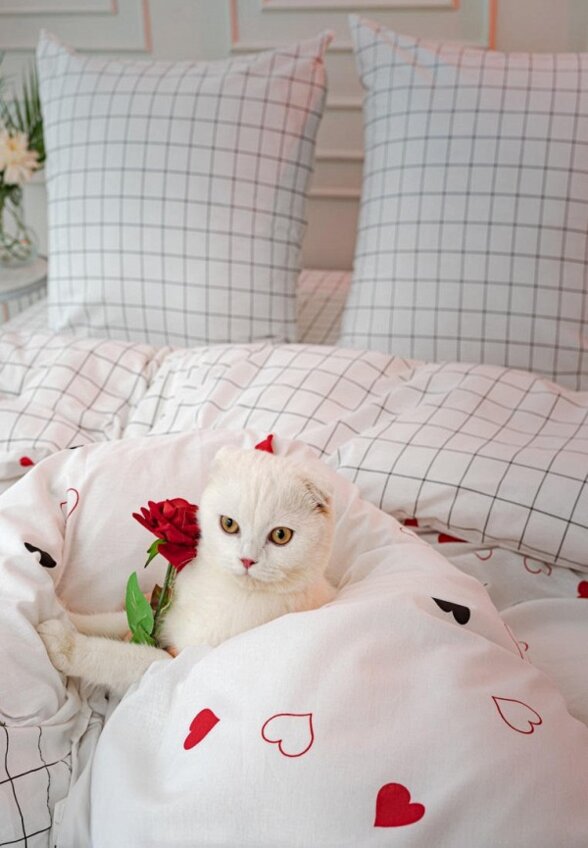 Постельное белье 1,5-спальное Loveberry