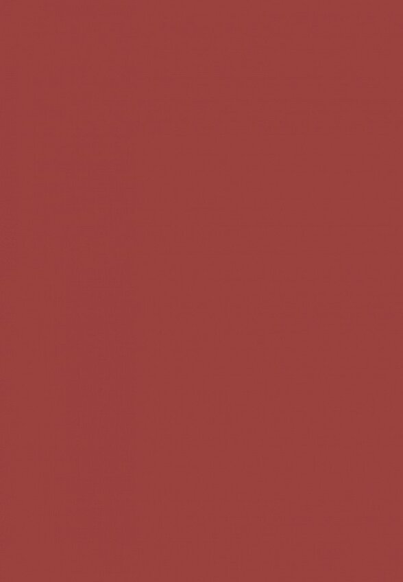 Помада жидкая Muzigae Mansion