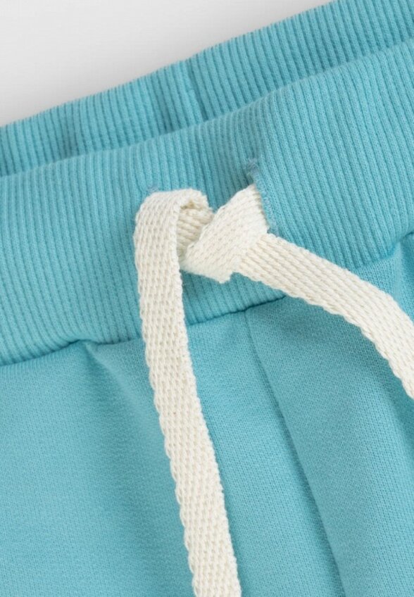 Брюки спортивные Bossa Nova