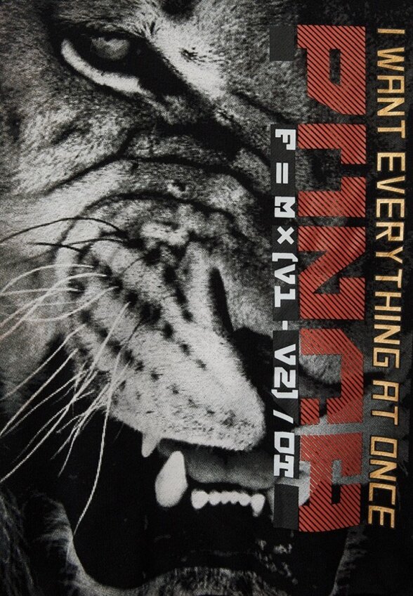 Свитшот PlayToday