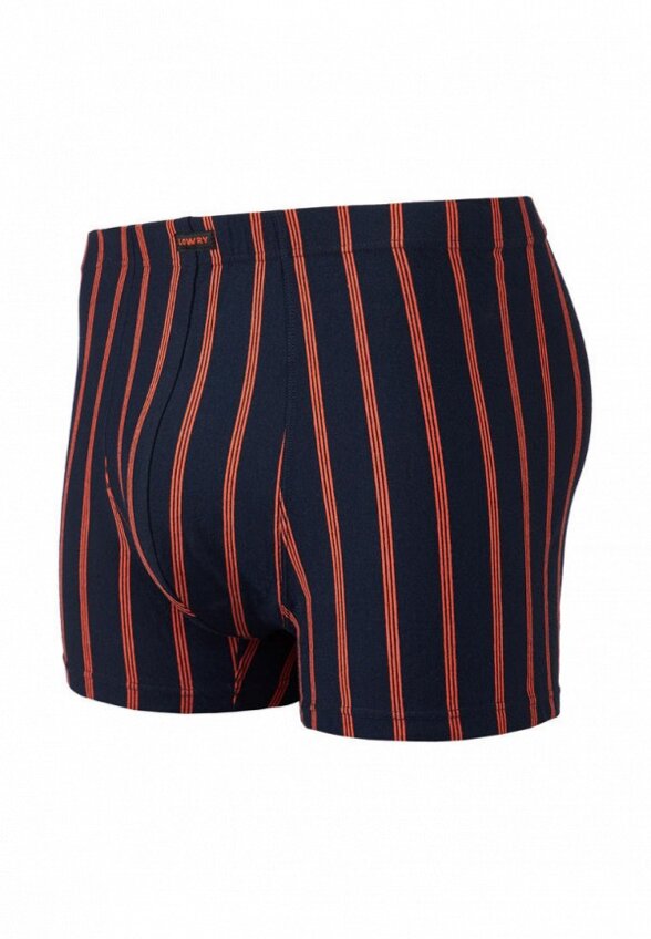 Трусы Lowry Collection